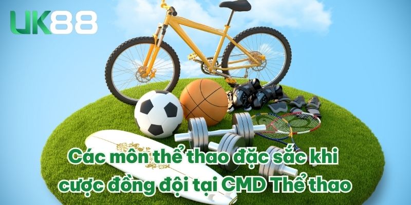 Các môn thể thao đặc sắc khi cược đồng đội tại CMD Thể thao