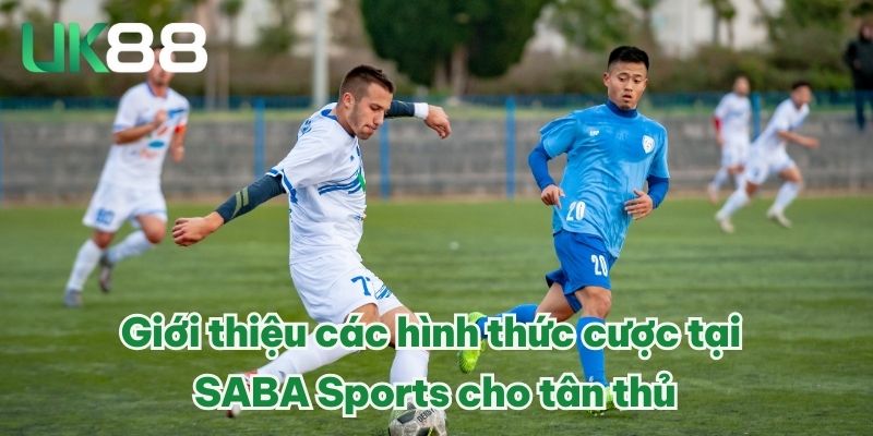 Giới thiệu các hình thức cược tại SABA Sports cho tân thủ